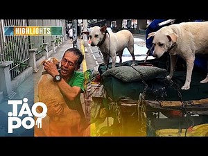 'Tao Po' : Tatay na nakatira sa kalsada nag-aampon ng mga aso