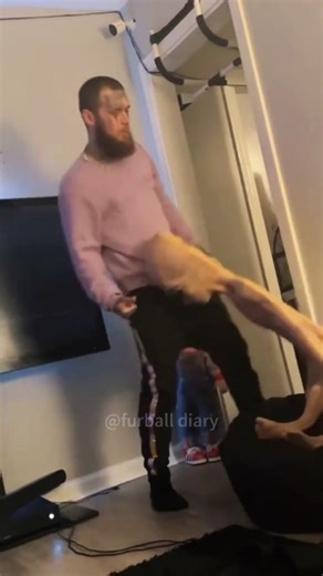 furball viral on Instagram: "The most realistic reaction to being scared #funnyvideos #funny #scareprank #funnytiktok #fyp #prankvideo #viralvideo"