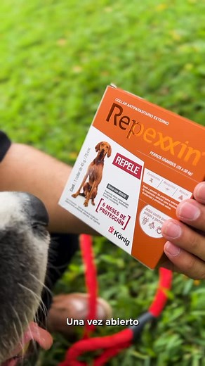 30K views · 4.8K reactions | ¿Sabes cómo y dónde aplicar REPEXXIN para obtener el mejor resultado? No te lo pierdas   En el nuevo video te mostramos paso a paso cómo usarlo correctamente y dónde colocarlo para que su efecto sea rápido y duradero.  Dale play y aprende a usar REPEXXIN como un experto. #REPEXXIN #bienestaranimal | EQpets | Facebook