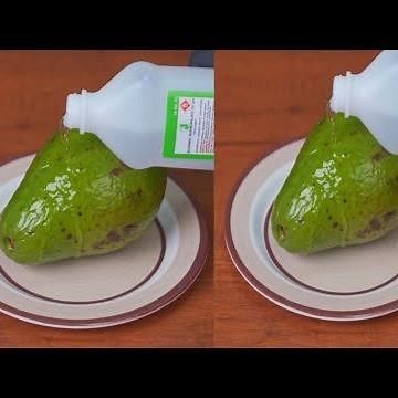 How To Make Alcohol on An Avocado Recipe ! Easy Recipes