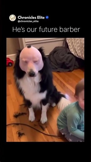 New skills unlocked 😢 #shortsfeed