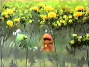 Sesamstraße - Tausendfuss - Raupe und Käfer