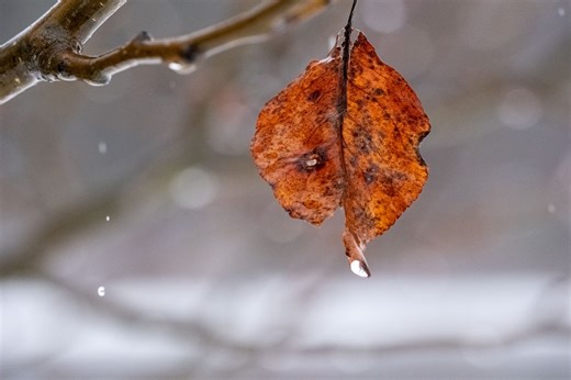 Mass. weather: Rainy Wednesday to lead into a snowy Thursday in some communities