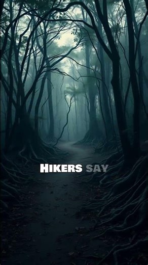 The Forest Where Sound Doesn’t Return 😳🌲