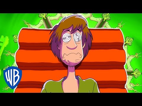 Scooby-Doo! | Shaggy's Hypnosis | WB Kids