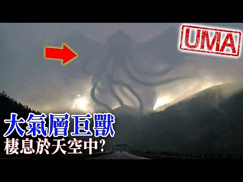 【UMA檔案】大氣層巨獸-棲息在天空中的生物?克勞夫茲維爾怪物事件|Atmospheric beast|未確認生物|超自然|古文明|外星人|
