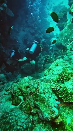 Tauchcomputer: Funktionen und Nutzen erklärt