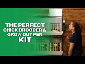 The Perfect Chick Brooder and Grow Out Pen Kit