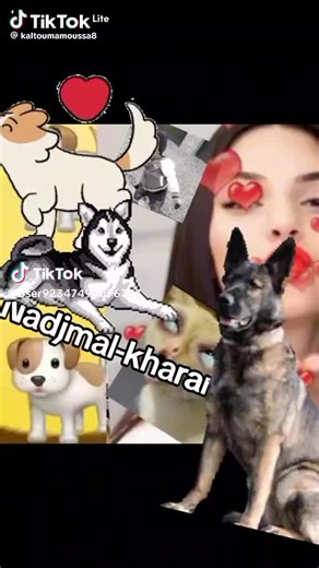 Mariam Abdelaziz aziz (@mariamlamofogiwagawalo1)’s videos with son original - Mariam Abdelaziz aziz