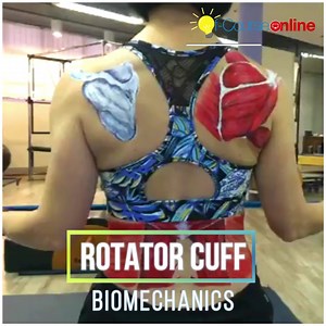 955 reactions · 173 shares | 易Do you want to upskill your FUNCTIONAL...