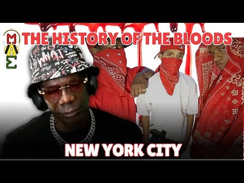 How Did Bloods Take Over New York City?