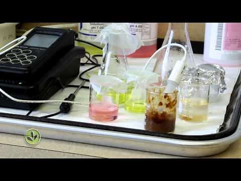 Developing A New Food Product: The Art + Technique Of Food Science