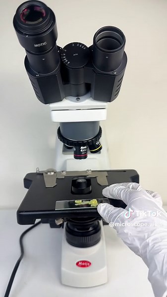 Pineapple Under Microscope: Explore the Fascinating Microscopic World