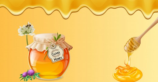7 Reasons Why Clover Honey Is The Only Honey You Need