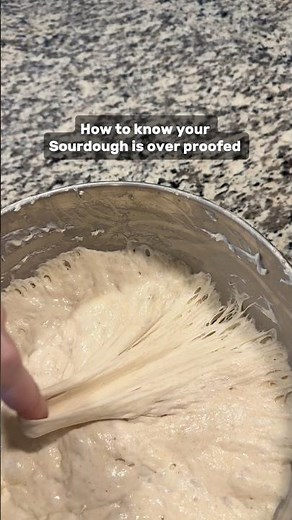 How to know you’ve over proofed your sourdough!