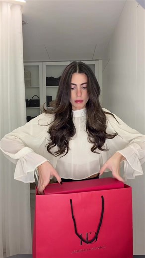 Perfect Bag for the Holidays