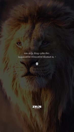 Motivational Sinhala Quotes for Success Mindset