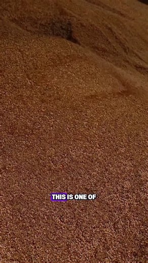 Tech Hub on Instagram: "Revolutionizing farm safety, this remote-controlled robot replaces humans in high-risk grain silos to prevent entrapment and save lives. #FarmSafety #GrainSilo #AgriculturalTech #RobotInnovation #WorkplaceSafety"