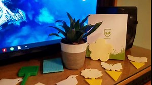 Flying Insect Trap Plug-in Fly Trap Indoor, Electric Mosquito Killer Indoor Gnat Catcher Fly Tapper with Night Light UV Attractant Catcher for Bedroom, Kitchen, Office