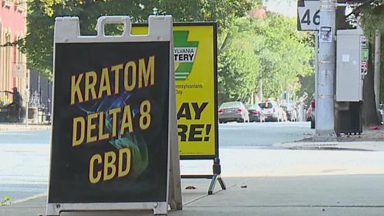 York City Council tables vote on smoke shop zoning, citing need for broader regulations