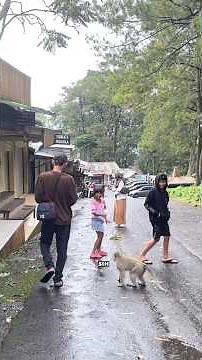 Marsya is afraid of monkeys #Holydayswithteshorts