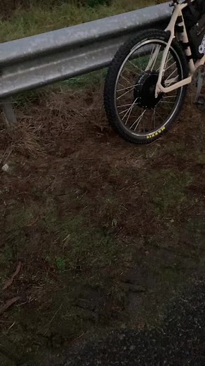 E-Bike Repairs: Fixing a 2kW E Pushy with Upgraded Controller and Display