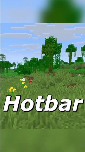 Minecraft but I can’t see my hotbar #minecraft #gaming #minecraftgameplay #minecraftgaming #funny