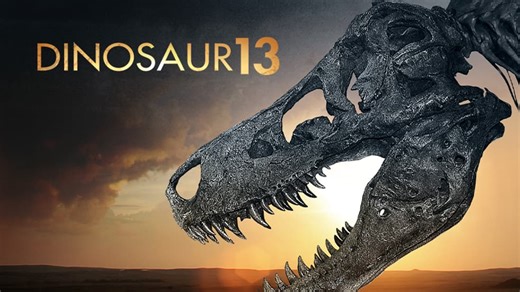 Dinosaur 13 (2014)