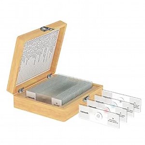 25 Pcs Prepared Microscope Slide Set, Vabiooth Glass Slides with Specimens and Hinged Wooden Case for Basic Biological Science Education, Bacterium Human Tissues Mitosis Plants Insects Animals Cells: Amazon.com: Industrial & Scientific
