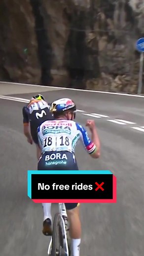 No Free Rides in Cycling: Team Dynamics Explained