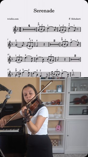Tanya Sonkina on Instagram: "Serenade Schubert Violin Tutorial"