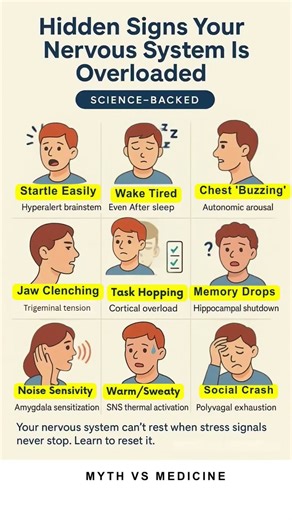 Hidden Signs Your Nervous System Is Overloaded 😳🧠