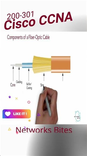 1.3a Cisco CCNA 200-301 | Network Fundamentals | Cabling types