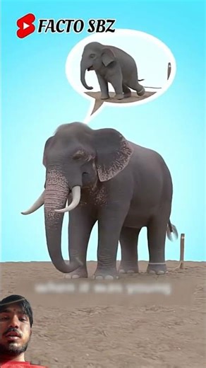 #facts #amazingfacts #animals #garibkikahaniya #shortvideo #shortsviral