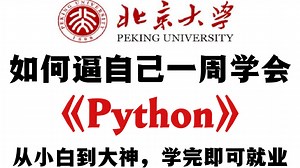 【整整568集】B站最完整的Python零基础入门教程！动画教学，全程通俗易懂，逼自己一周学完，从零基础小白到python大神！存下吧，很难找全了