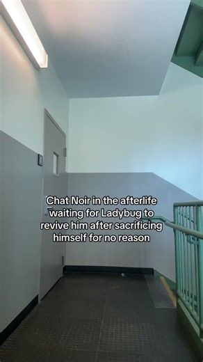 Chat Noir Sacrifices Himself for Ladybug in Miraculous Ladybug Fanfiction