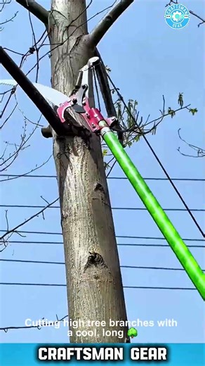 AMAZING Pole Pruner Cuts High Tree Branches EASY 🌳