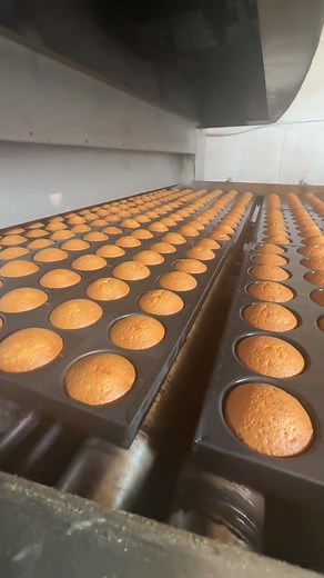 Innovative Cake Factory Equipment for Bakers