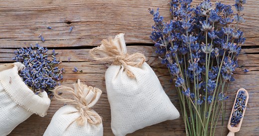 Lavande : 4 façons de la faire sécher pour  conserver longtemps son odeur