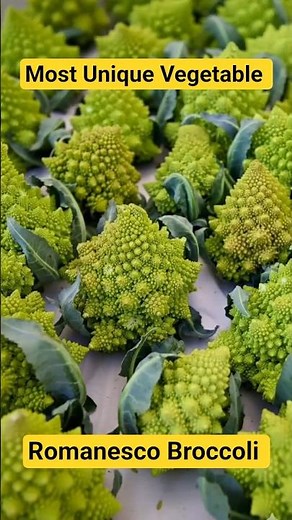 This Vegetable Is a Fractal 😱🥦 | The Mind-Blowing Romanesco Broccoli