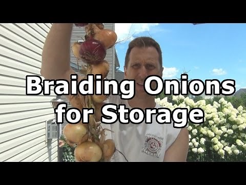 How to Braid Plait Onions for Storage