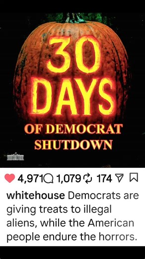 8 comments | Shannon Moore LeVesseur on Reels | Facebook