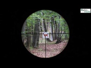 Leica Magnus 1.5-10x42 i Reticle CD i Subtensions