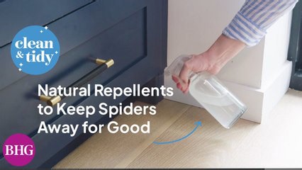 Natural Repellents to Keep Spiders Away for Good