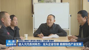 【代表委员风采录】省人大代表刘英杰：龙头企业引领 助推特色产业发展 - 西部网（陕西新闻网）