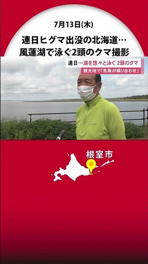 連日ヒグマ出没の北海道…けさは"水面から顔出し悠々と泳ぐクマ2頭" 撮影されたのは東部の湖「風蓮湖」当面散策路を封鎖