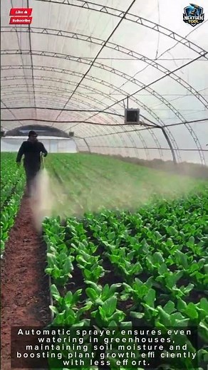Automatic Sprayer Tool Fast Plant Watering in Greenhouse#tool