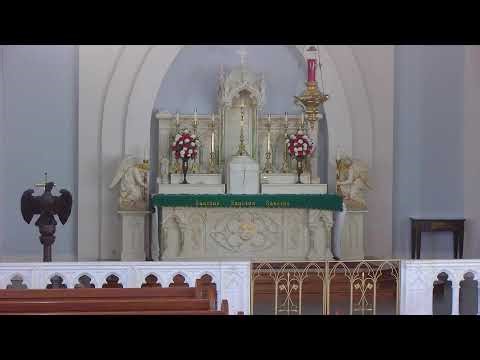First Saturday 9 AM Traditional Latin Mass & Benediction 02/07/2026