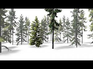 Inverse Procedural Modeling of Trees