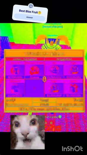 Bro gave me huge w 🤯 unbelievable Blox Fruit moment #impossible #roblox